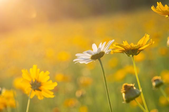 忘不了你，我想你了，一场相遇，一生铭记