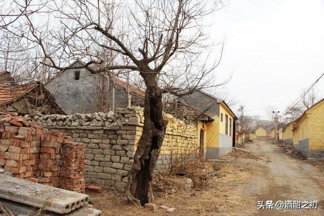 乡村故事：如此女人