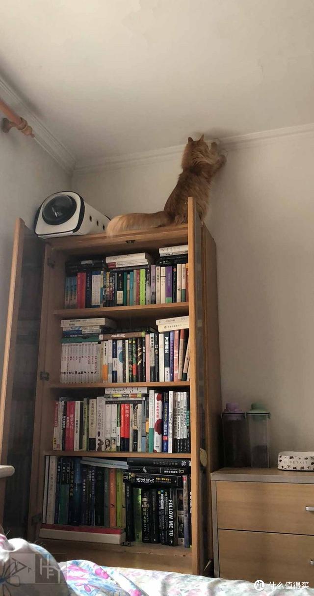 看了1400+本书的媳妇给推荐书单 ：800本小说，给你挑出了这十本