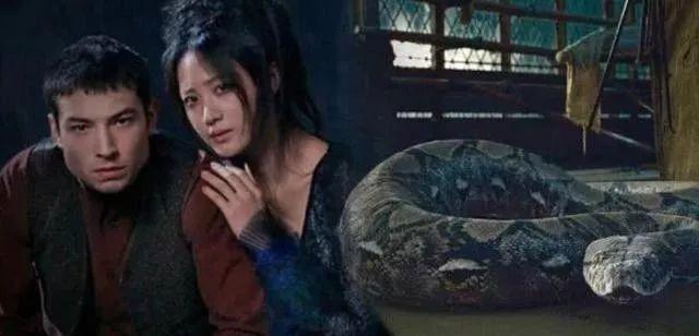 《神奇动物2》的美女蛇惊艳，金秀贤被赞“活神仙”