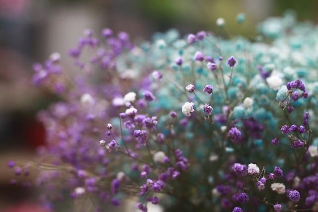 忘不了你，我想你了，一场相遇，一生铭记