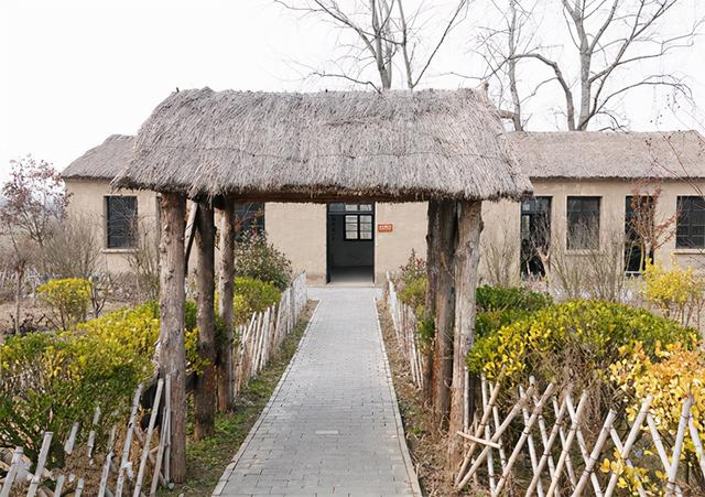 1986年,徐秀娟怀抱3颗丹顶鹤蛋南下,一年后救鹤牺牲,年仅23岁