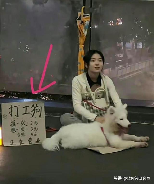 发现女友通讯录找免费鸭子,哈哈好奇心害死猫