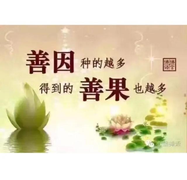 女人何苦为难女人