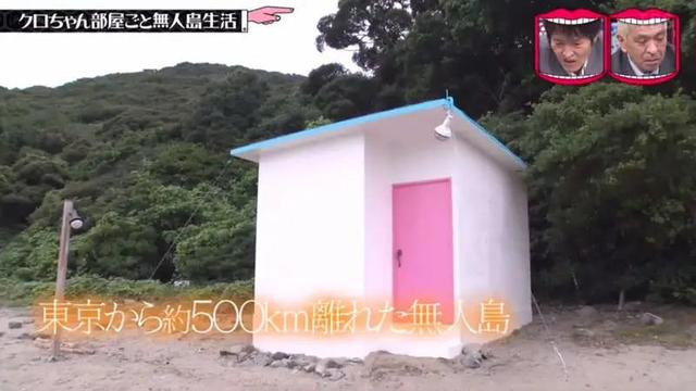 日本最刺激的整蛊节目:偷偷把艺人家搬到荒岛,一觉醒来人傻了…