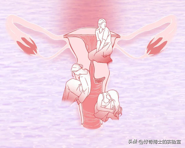 女人,为什么比男人更好色?