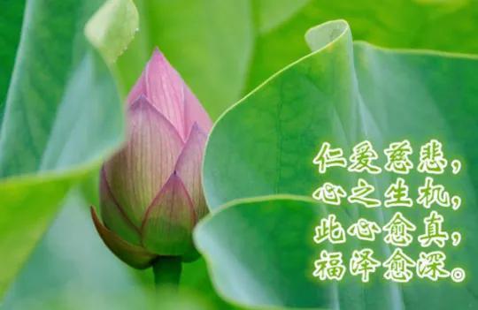 女人何苦为难女人