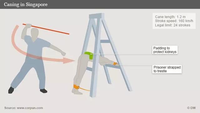 “孩子在新加坡学校被老师用鞭子打，大腿都抽肿了我们却不知道”