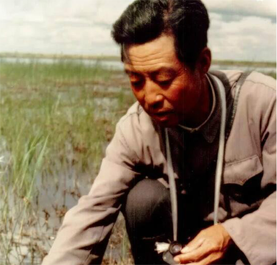 1986年,徐秀娟怀抱3颗丹顶鹤蛋南下,一年后救鹤牺牲,年仅23岁