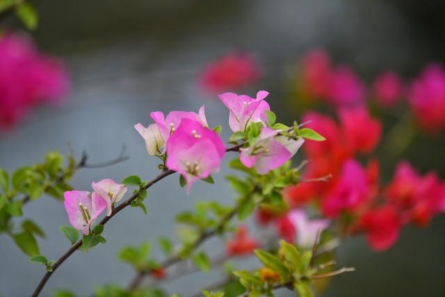 忘不了你，我想你了，一场相遇，一生铭记