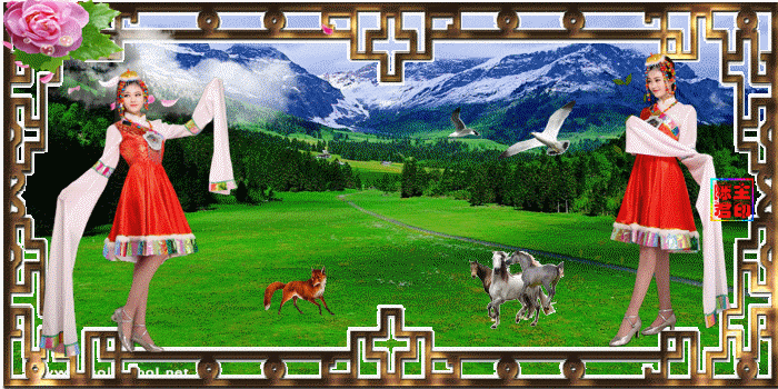 动态美女美景欣赏，太美了！