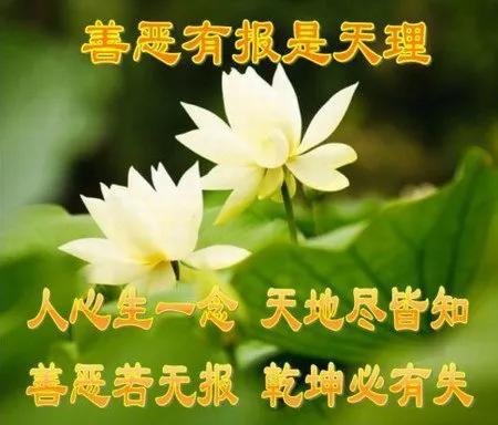 女人何苦为难女人