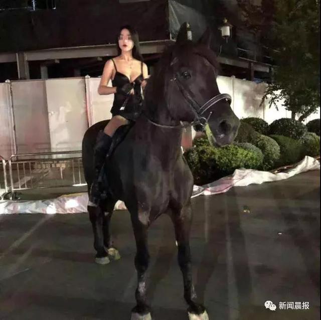 马路当秀场,着装性感女子深夜在市中心主干道骑马,被罚!