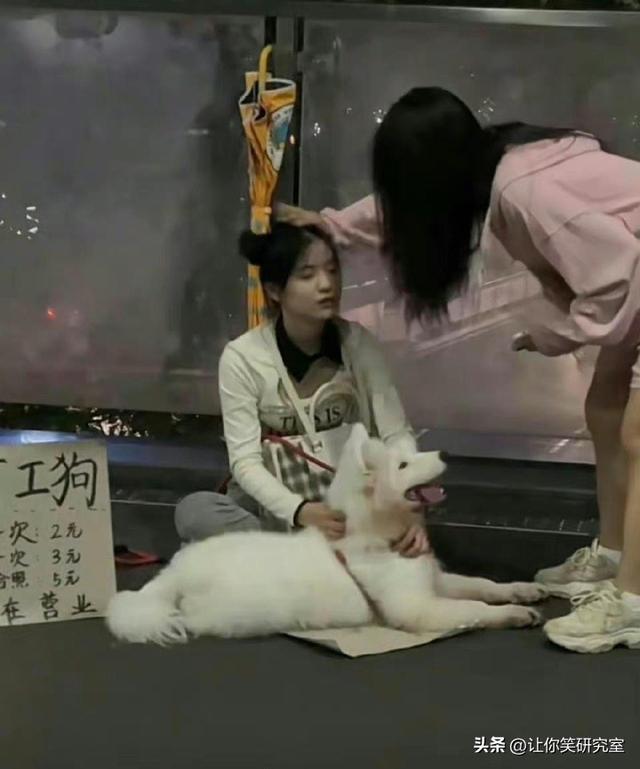 发现女友通讯录找免费鸭子,哈哈好奇心害死猫