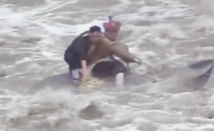 多少人惨遭大学舍友报名《男生女生向前冲》？