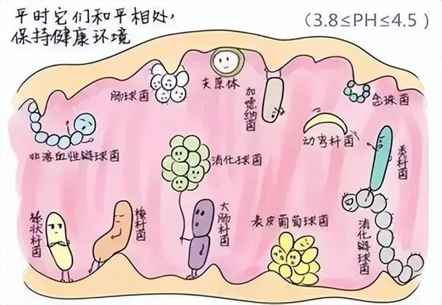 女人“私处”洗洗更健康？小心洗出“细菌大军”，这样护理才正确
