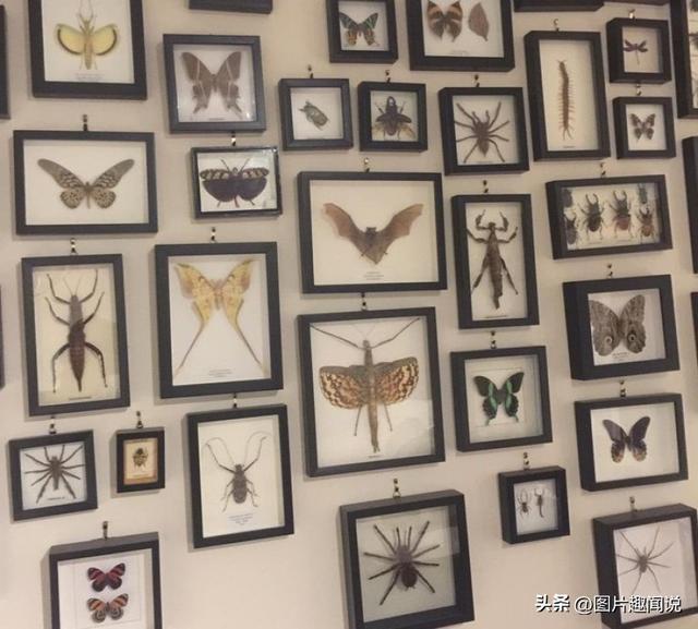 33张照片看世界：荷兰妓院的油画，世界上最古老的胸罩