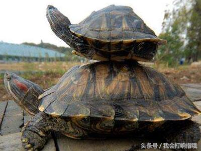 周公解梦：这几件事，虽然有的令人害怕，但却是发财的好兆头