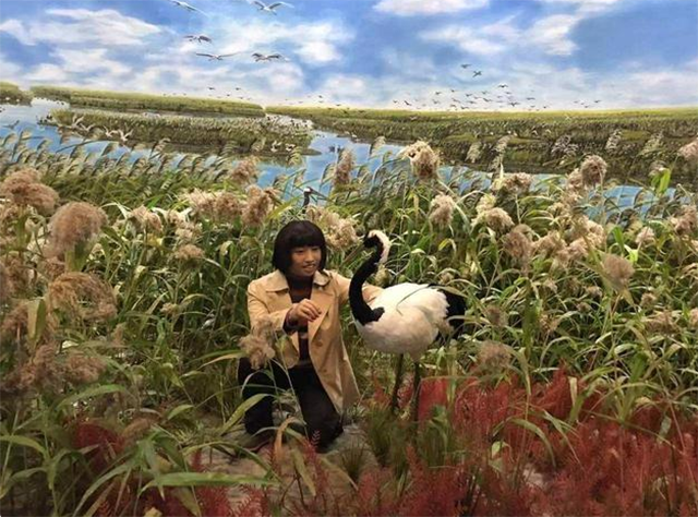 1986年,徐秀娟怀抱3颗丹顶鹤蛋南下,一年后救鹤牺牲,年仅23岁