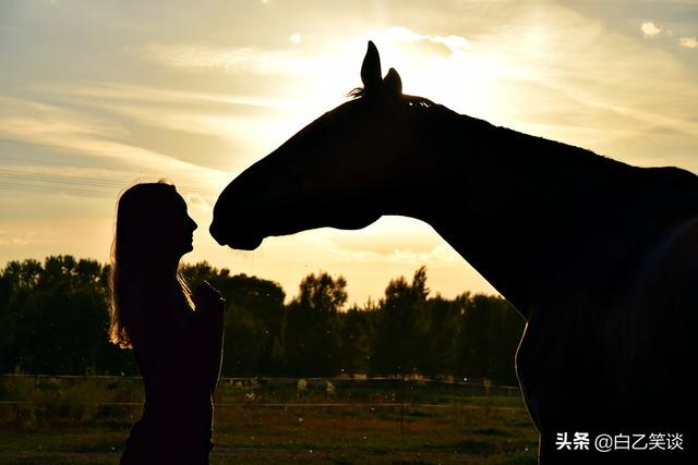 马与女人：美人，美驹，相得益彰，令人遐想……