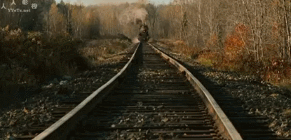 被一场情欲毁掉的亲情：这部真人真事爆掉了我的血压