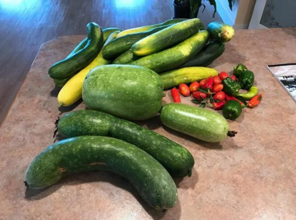 年轻的中国美女买下温哥华243亩的农场，从此过上了农场主的生活