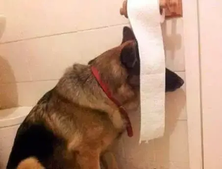 搞笑GIF趣图：美女回农村好几天了，现在出不去，在家都无聊死了