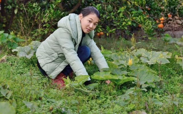 案例:合肥一老板爱上女海王,被女方套路多年,依然对她不离不弃