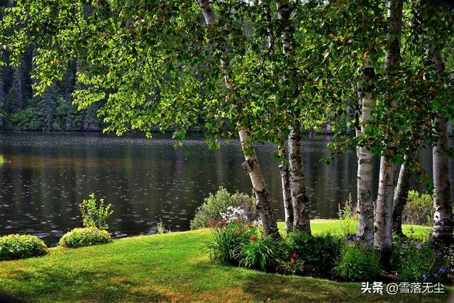 男女之间的“十大差异”:只有真正看明白的人,才能找到真爱