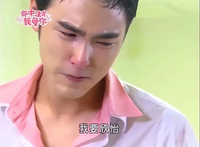 收视最高的10部台湾偶像剧：《天国的嫁衣》第9，《流星花园》第2