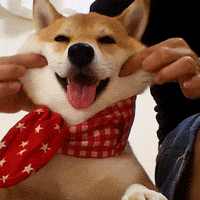 女子拔罐后胸闷气短，竟是“气胸”！这类人群要谨慎