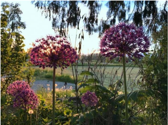 年轻的中国美女买下温哥华243亩的农场，从此过上了农场主的生活