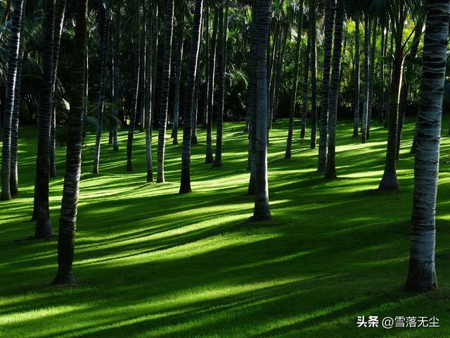 男女之间的“十大差异”:只有真正看明白的人,才能找到真爱