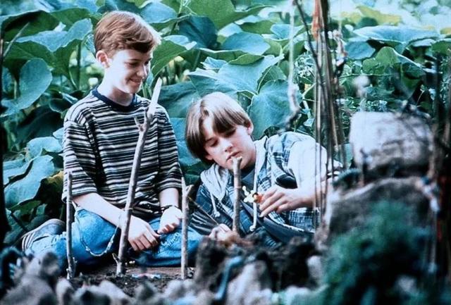 十部比《绿皮书》更好看的豆瓣9分佳片，全部看过算我输