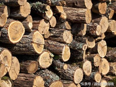 周公解梦：这几件事，虽然有的令人害怕，但却是发财的好兆头