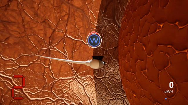 奇葩竞速游戏上架Steam,将人体受孕过程做成了一款·射击赛车游戏