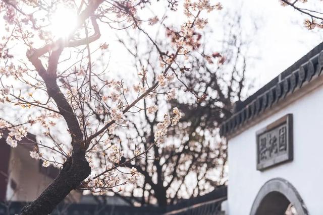 12句充满阳光的诗词,最适合心情不好时读一读!