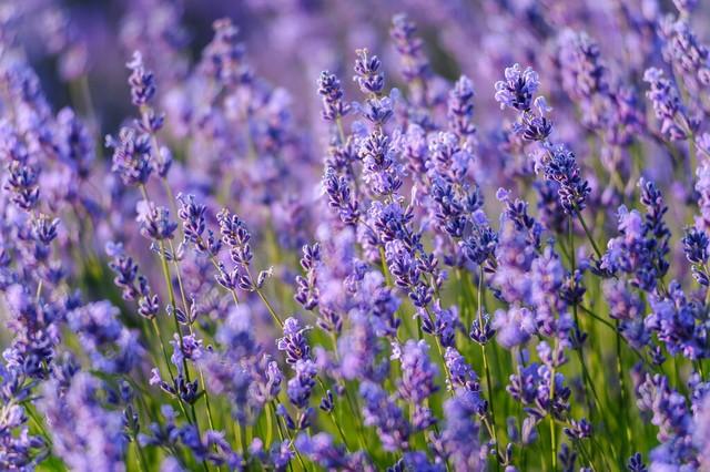 忘不了你，我想你了，一场相遇，一生铭记