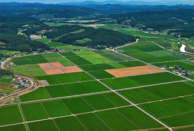 江西“淫贪”136名情妇不满足,目标千人,著有2本“幸福日记”