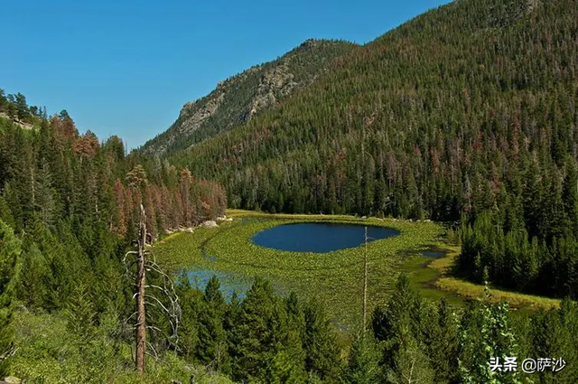 华裔美女赌神被人残忍性虐后活活烧死：2020年密歇根州神秘谋杀案