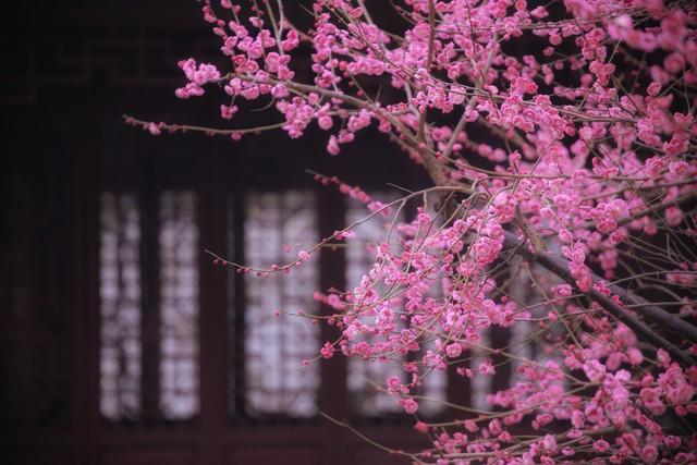 忘不了你，我想你了，一场相遇，一生铭记