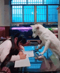 搞笑GIF趣图：美女回农村好几天了，现在出不去，在家都无聊死了