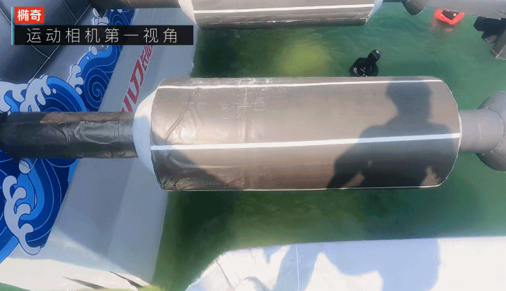 多少人惨遭大学舍友报名《男生女生向前冲》？