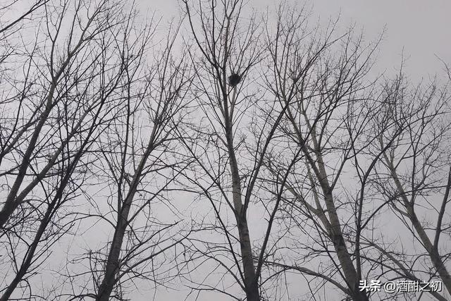 乡村故事：如此女人