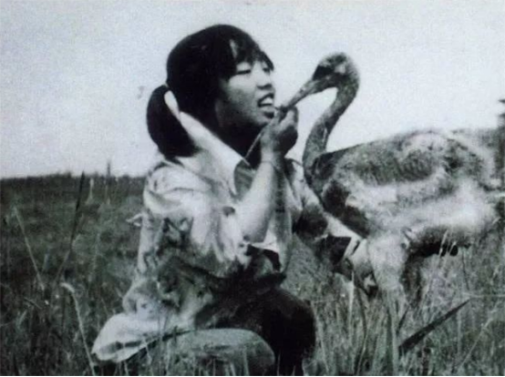 1986年,徐秀娟怀抱3颗丹顶鹤蛋南下,一年后救鹤牺牲,年仅23岁