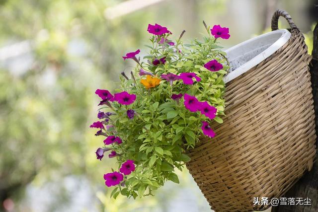 男女之间的“十大差异”:只有真正看明白的人,才能找到真爱