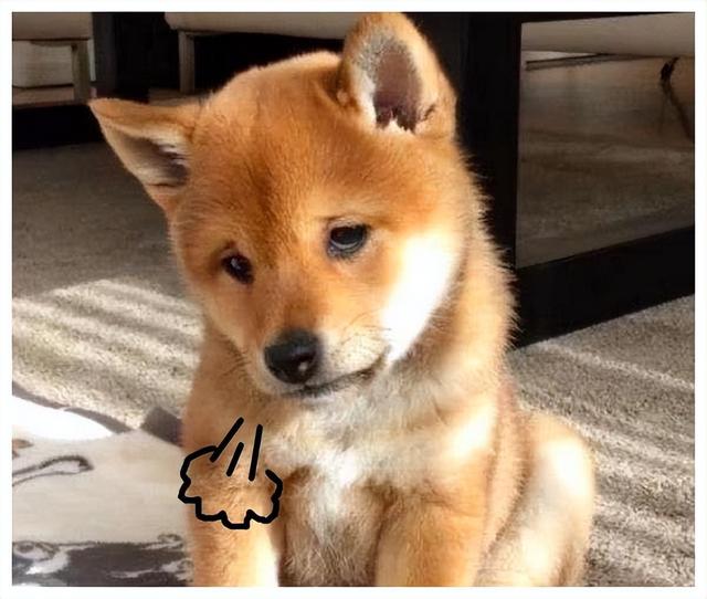 5位拒绝潜规则的女星，桑妮皈依佛门，李菁菁直接退出娱乐圈