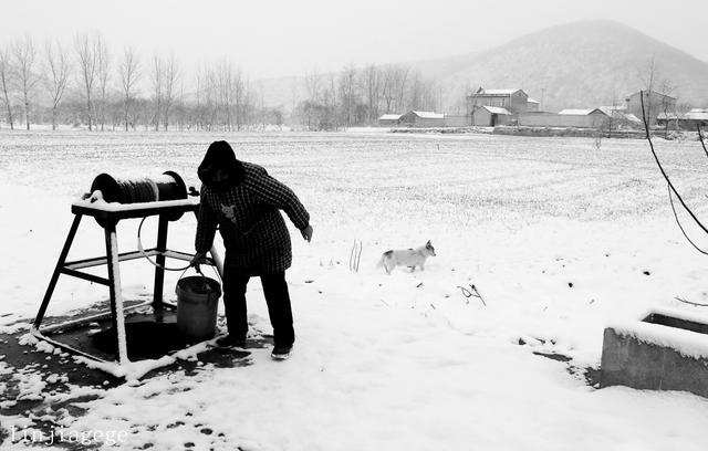 辘轳女人井和狗