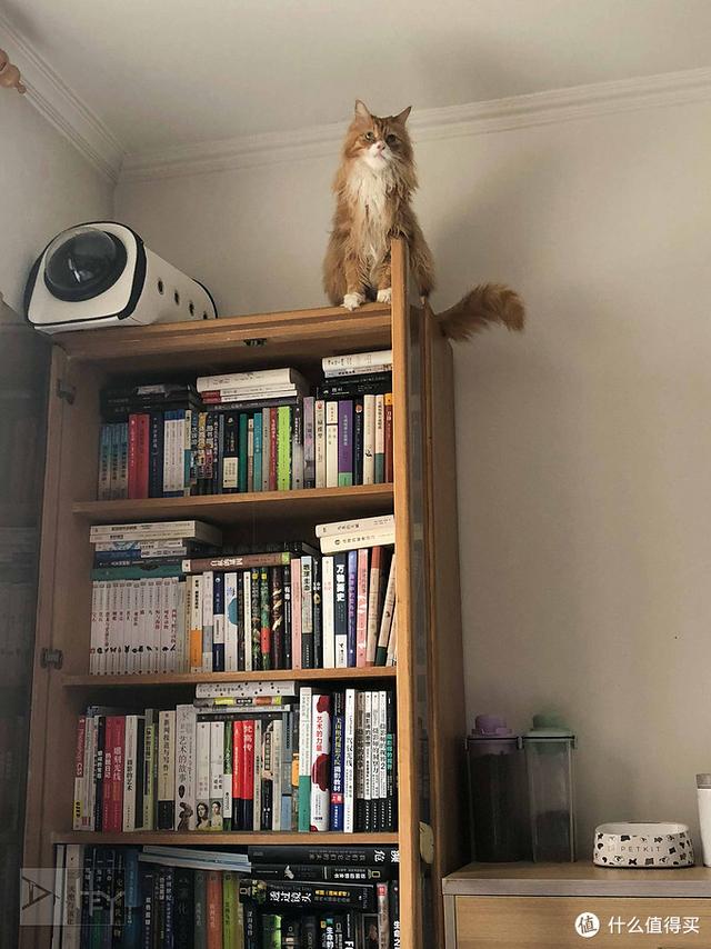 看了1400+本书的媳妇给推荐书单 ：800本小说，给你挑出了这十本