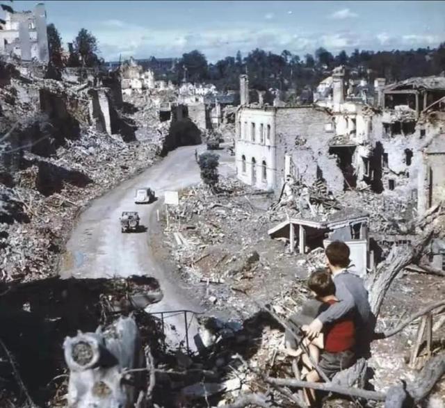 罕见的41张照片,巴西超模,戴安娜,如同枯枝一般的竹节虫,睢鸠